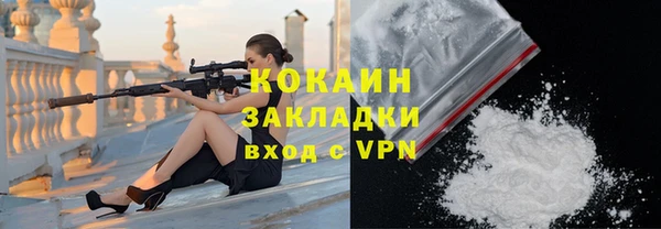 дмт Дмитров