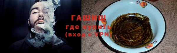 дмт Дмитров