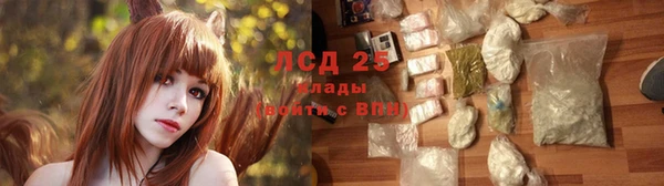 ALPHA PVP Дмитриев