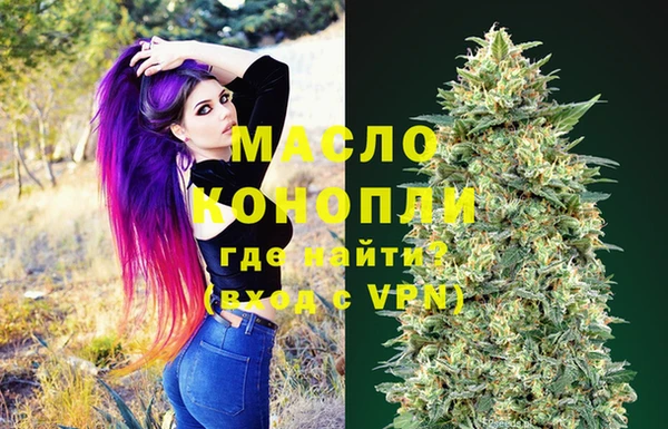дмт Дмитров