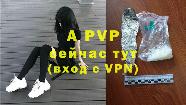 дмт Дмитров