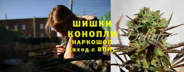 дмт Дмитров