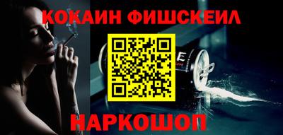 индика Можга