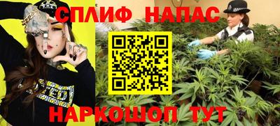 ешки Моздок