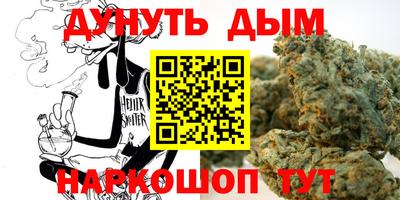 индика Можга