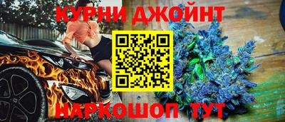 индика Можга