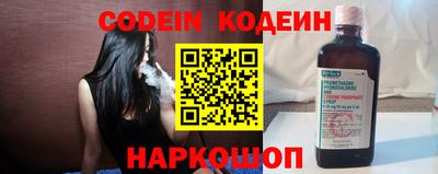 индика Можга