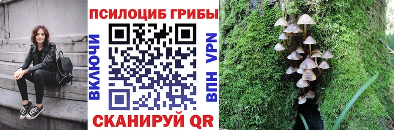 Галлюциногенные грибы Psilocybe  Курган 