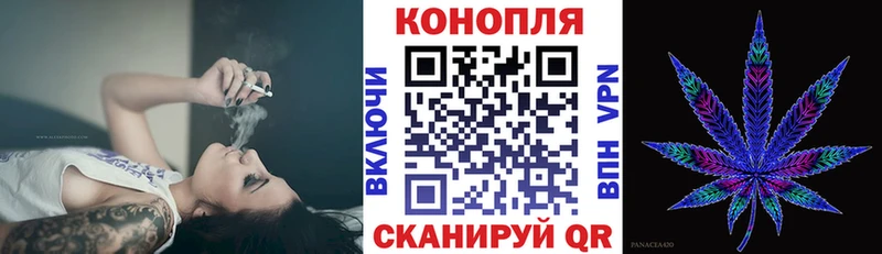Шишки марихуана сатива mega Курган